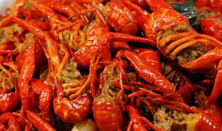 小龙虾怎么挑选（小龙虾怎么挑选公母）