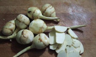 怎么挑选慈菇（怎么挑选慈菇种子）