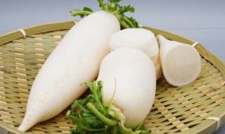 怎么挑选萝卜（怎么挑选萝卜 根发绿 发白）