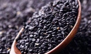 怎么挑选黑芝麻 怎么挑选黑芝麻糊