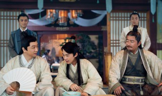 赘婿电视剧讲的是什么（赘婿电视剧讲的是什么内容）