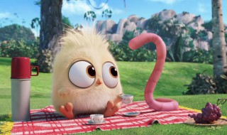 野生红蚯蚓养殖技巧（野生红蚯蚓哪里挖）