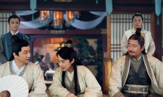 电视剧赘婿几点更新（电视剧赘婿几点更新啊）