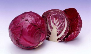 芥末拌甘蓝的做法窍门（芥末拌甘蓝的做法窍门图片）