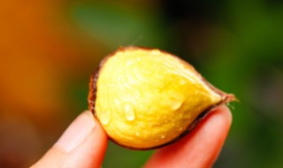 香菇炒板栗窍门（香菇炒板栗窍门有哪些）