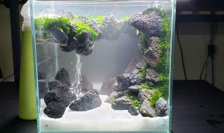 鱼缸流沙怎么做的（鱼缸流沙怎么做的图片）