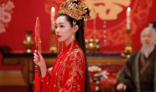 赘婿讲的什么 赘婿讲的什么故事