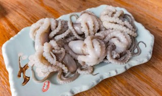 章鱼烩瘦肉 章鱼煲瘦肉