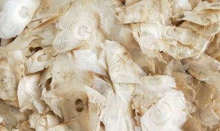 木蝴蝶怎么养（木蝴蝶怎么种植）