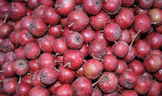 水晶山楂果(水晶山楂做法)