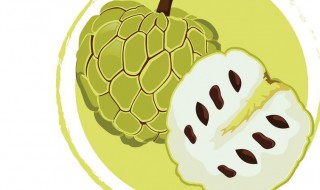 释迦果放不软怎么办（释迦果放不熟怎么办）