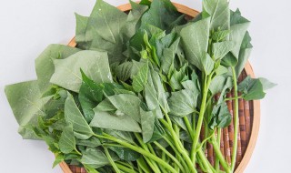 红薯叶需要焯水吗 红薯叶草酸含量高吗