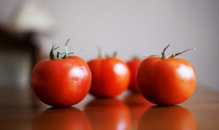 红色的蔬菜有哪些 苋菜