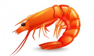 野生小虾最喜欢吃什么食物（野生小虾的生活环境是怎么样的）