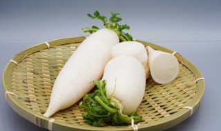 萝卜种子种植时间和方法(萝卜种子种植时间和方法花盆)