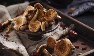 冬季秋冬吃什么食物(秋冬季吃啥)