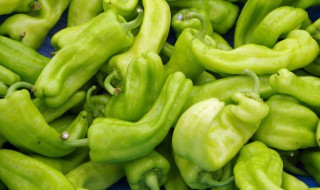 尖椒炒萝卜（尖椒炒萝卜丝做法）