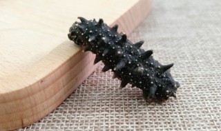 葱烧海参蒸豆腐(海参豆腐羹的做法海大全)