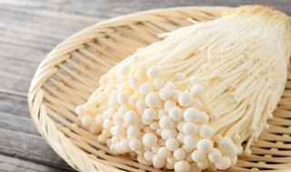 金针菇的做法有哪些（金针菇10种做法大全）