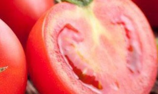 花样西红柿制作方法 花样西红柿制作方法大全