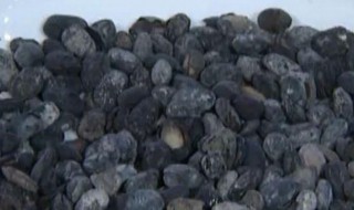 淡豆豉在家怎么做（淡豆豉的制作方法?）