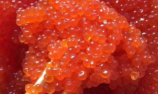 大马哈鱼籽怎么做 大马哈鱼籽怎么做好吃