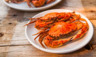 飞蟹怎么挑选 飞蟹怎么挑选视频