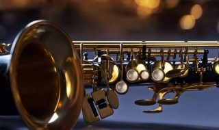 怎么挑选萨克斯(萨克斯选购指南)