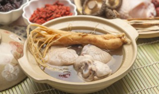 海参鸡汤怎么炖好喝窍门 海参鸡汤的做法与功效窍门