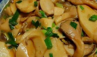 鸡腿菇做法窍门（鸡腿菇做法窍门图片）