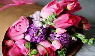 情人节送什么花可以家养 情人节送什么花可以家养狗