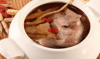 家常鸽子怎么炖窍门（家常鸽子怎么炖窍门图解）