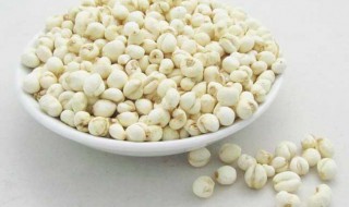 川贝蜜做法窍门（川贝蜜糖功效与作用）