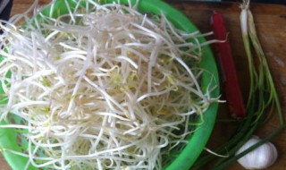 生豆芽做法窍门 生豆芽做法窍门视频