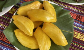 菠萝蜜没有熟但是已经打开了怎么办 菠萝蜜没有熟就切开不甜怎么办