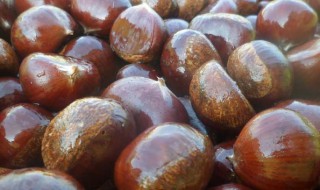 栗子可以冷冻保存吗（生栗子怎么储存方法最好）