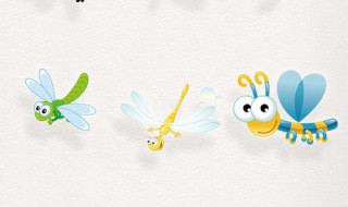 蜻蜓有多少只眼睛（苍蝇有多少只眼睛）