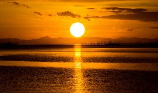 传说中太阳里面住着什么鸟 传说中太阳里面住着什么鸟呢