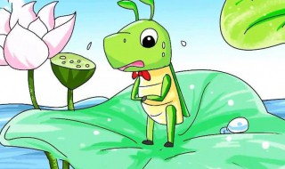 蝈蝈吃生黄豆还是熟黄豆（养蝈蝈的七大禁忌）