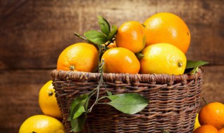 八月桔与沙糖桔的区别（八月桔和沙糖桔的区别）