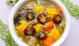香菇玉米炖排骨的做法（香菇玉米排骨汤的做法）