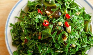 凉拌花椒芽 凉拌花椒芽有什么功效