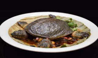 双母蒸甲鱼 双母蒸甲鱼的功效是