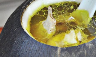 椰青炖鸽（椰青炖鸽子）