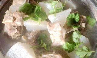 党参白萝卜羊蝎子汤（党参萝卜炖羊肉的功效）