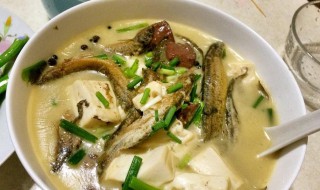 北芪泥鳅瘦肉汤（泥鳅煲北芪汤的功效与作用）