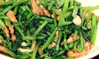 腐乳肉丝炒空心菜梗 腐乳空心菜先炒腐乳