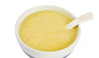 小米粥的家常做法 羊肉小米粥的家常做法