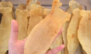 花胶属于海鲜吗（海鲜花胶）