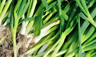 萝卜干肉片炒蒜苗 萝卜干肉片炒蒜苗怎么做